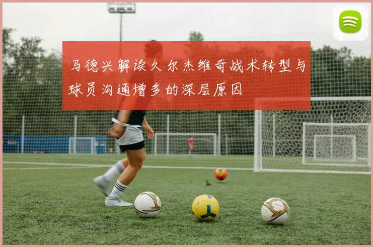 马德兴解读久尔杰维奇战术转型与球员沟通增多的深层原因